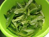 Albahaca todo el año