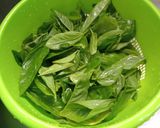 Foto del paso 1 de la receta: Albahaca todo el año