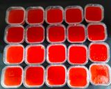 Foto langkah ke 3 dari resep Puding Merah Putih.