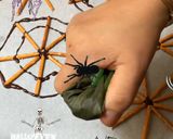 Une image de l'étape 6 de 🕷️Toiles d’araignées🕸️🕷️en fête 🥳 🕷️👻.