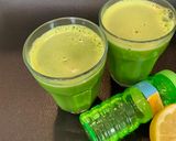 હર્બલ ગ્રીન જ્યુસ (Herbal Green Juice Recipe In Gujarati) રેસીપી સ્ટેપ3ફોટો