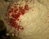 A picture of step 2 of Missi roti.