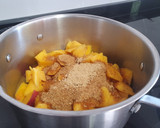 Foto del paso 2 de la receta: Mermelada de melocotón y nectarina con toque de lima y jengibre