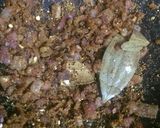ढाबा स्टाइल मसाला चाप (Dhaba Style Masala chaap recipe in Hindi) रेसिपी चरण 5 फोटो