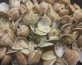 Foto del paso 4 de la receta Almejas al ajillo