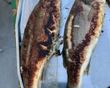 Une image de l'étape 7 de Bars farcis oseille, persil, ail et oignon grillés à la plancha.