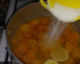صورة لخطوة 2 من وصفة عصير البرتقال🍊 والجزر🥕