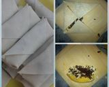 Foto langkah ke 3 dari resep PisCok Keju Kulit Pangsit (family snack).