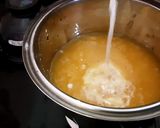 A picture of step 3 of Bael or WoodApple Smoothie.