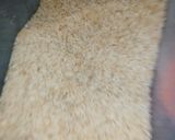 A picture of step 1 of White rice and beans with fish stew.