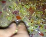 A picture of step 8 of Egg Pizza.