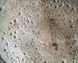 A picture of step 5 of Instant idly batter dosa!.