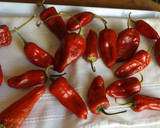 Foto del paso 1 de la receta: Cómo conservar pimientos picantes