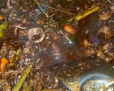 Foto langkah ke 5 dari resep 56. Cumi hitam sambal setan (Cumi Rica2).