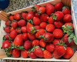 Une image de l'étape 1 de 🫜Charlotte aux Fraises 🍓.