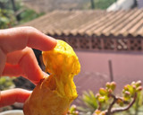 Foto del paso 4 de la receta: Pão de queijo vegan