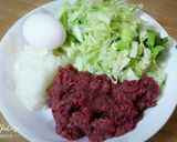 香酥高麗菜洋蔥牛肉餅的食譜步驟1照片
