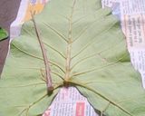 Farali patra रेसिपी चरण 2 फोटो