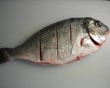 Foto del paso 1 de la receta Dorada al horno con langostinos y almejas