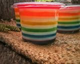 Foto langkah ke 4 dari resep 🌈Puding Pelangi🌈.