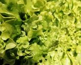 Une image de l'étape 1 de Salade Normande.