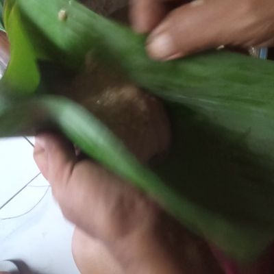 Langkah 4