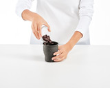 Foto del paso 6 de la receta: Helado cremoso de tiramisú |Moldes para helado cremoso - Lékué