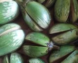 चमचमीत वांगी मसाला (vangi masala recipe in marathi) रेसिपी स्टेप 1 फोटो