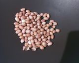 Foto langkah ke 8 dari resep Cilok Bumbu Kacang.