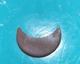 Foto del paso 5 de la receta: Galletas decoradas con fondant