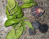 Foto del paso 4 de la receta: Coca Colorida de Tomates e Higos