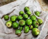 गुंदा कैरी का अचार (Gunda kairi ka achar recipe in hindi) रेसिपी चरण 1 फोटो