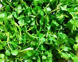 Hình bước làm 1 của món Cải Xoong Và Đậu Hủ Chiên Chay