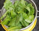 કેપ્ટન ઓફ લિફી ગ્રીન્સ જ્યુુુસ (Captain Of Leafy Greens Juice Recipe In Gujarati) રેસીપી સ્ટેપ1ફોટો