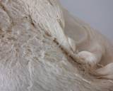 Zopf bread recipe step 4 photo