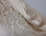 A picture of step 4 of Zopf bread.