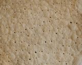 Foto del paso 9 de la receta: Torta Rogel