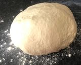 A picture of step 2 of Neapolitan pizza (including the dough).
