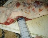 Foto del paso 2 de la receta: Asado a la parrilla de vacío y manta de chancho inyectadas