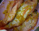 Foto langkah ke 3 dari resep Ikan Bakar Madu.