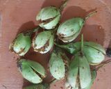 A picture of step 2 of Stuff Brinjal.