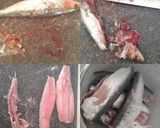 Foto del paso 2 de la receta: Fusilli con sardinas marinadas en cítricos