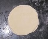 A picture of step 5 of Veg rolls.
