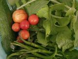 🍅🍆بادمجون شکم پر شمالی🍅🍆