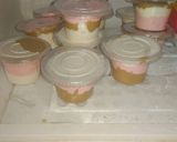 Foto langkah ke 5 dari resep Ice Cream Susu Homemade.