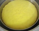 ખમણ ઢોકળા (Khaman Dhokla Recipe In Gujarati) રેસીપી સ્ટેપ2ફોટો