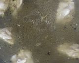 A picture of step 1 of Vegetables soup.