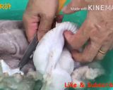 Hình bước làm 4 của món Bao Tử Khìa Nước Dừa