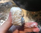 Foto del paso 2 de la receta: Rabos crocantes