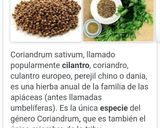 Foto del paso 1 de la receta: Pechuga de polloy coreanito al horno #platounico